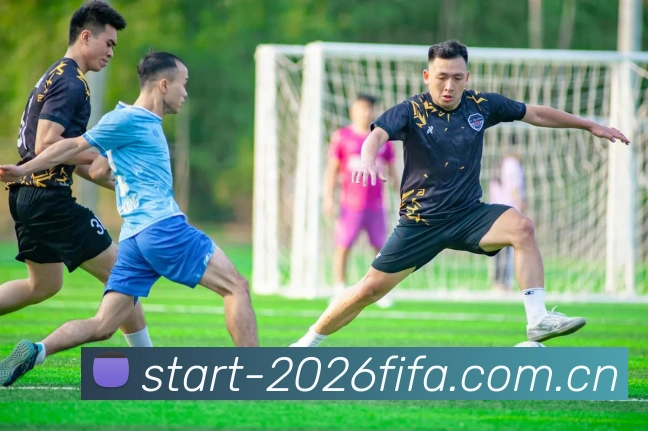 FIFA官方数据授权认证